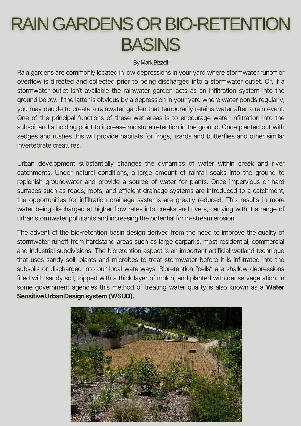 Page 1 of Mark Bizzell's article on rain gardens or bio-retention basin