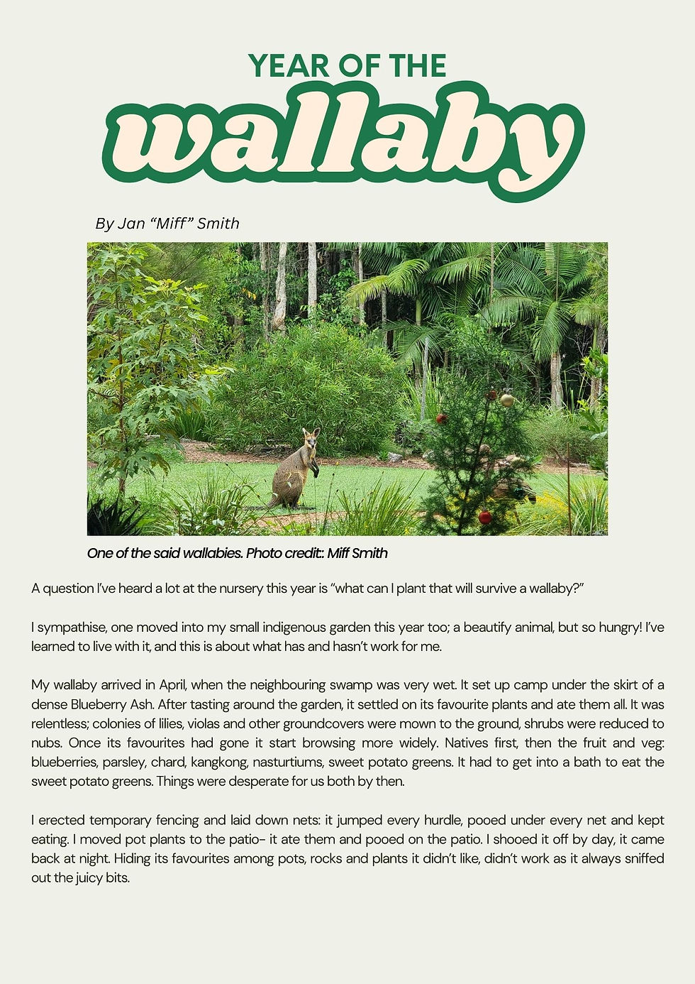 Year of the wallaby by Jan page 1