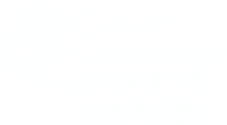 CCNN Logo 2026Black Transparent_edited_e