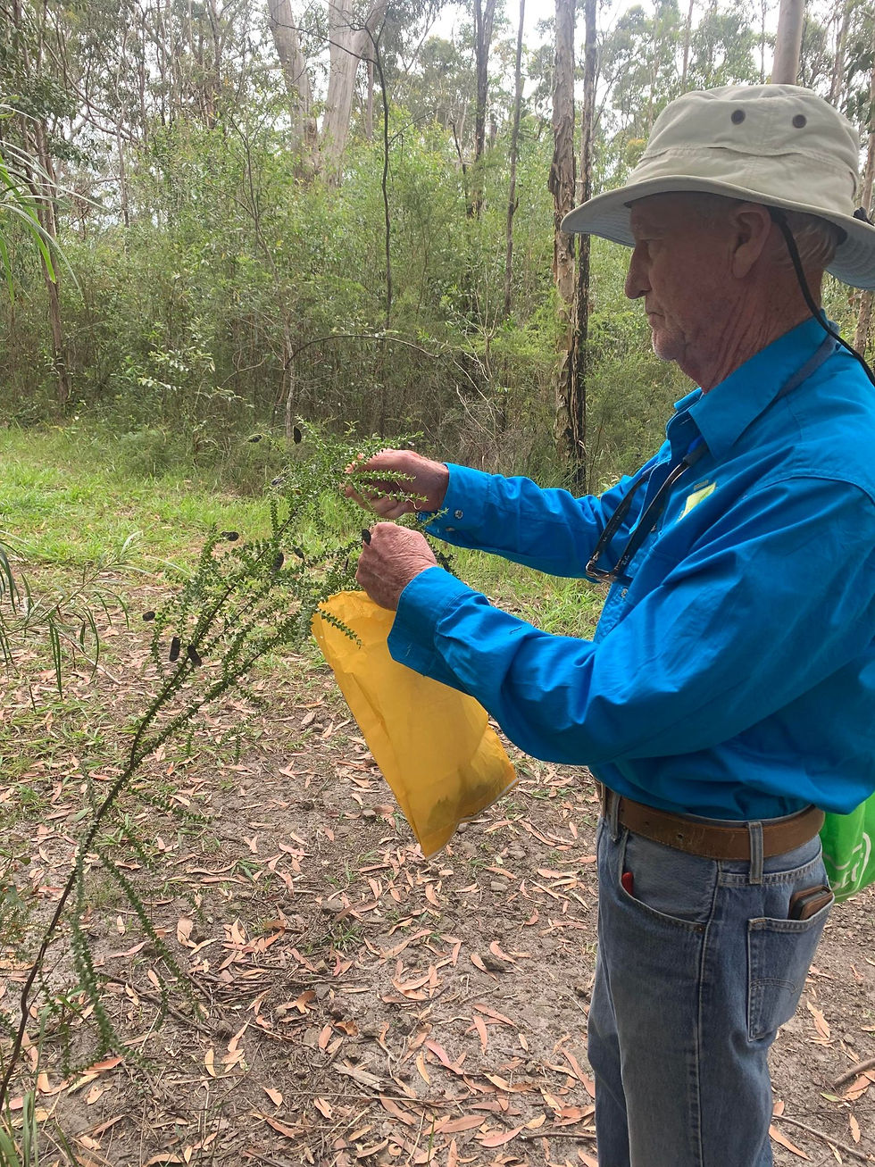 Mark Seed collecting