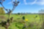 8B354D3A-BD55-4050-A8C6-B9897E65636F_1_105_c.jpeg