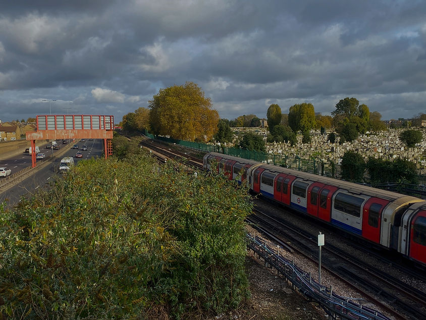 IMG_5396 2_edited_edited.jpg