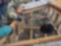 shared image (3).jfif
