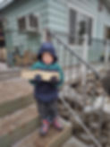 shared image (1).jfif