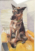 Frahm's dog