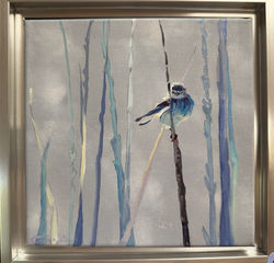 Perched on a Reed 3