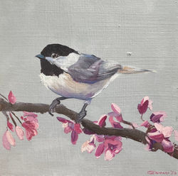 Chickadee and blossoms