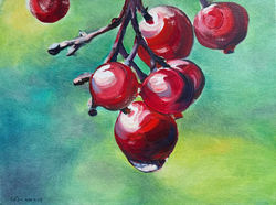 Red Berries and Dew Drop