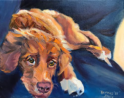 Soulful Eyes--Hermes Blue Couch