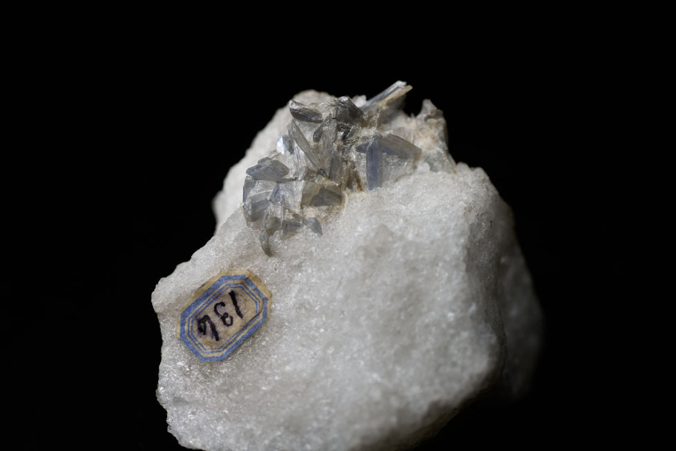 DSC03513 Aug 07 2025