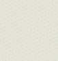 CNfundo.png