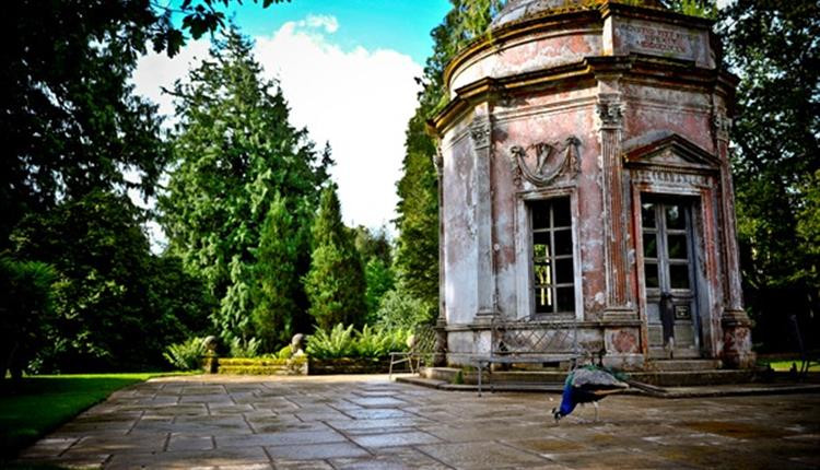 Dorset wedding venue Lamer Tree