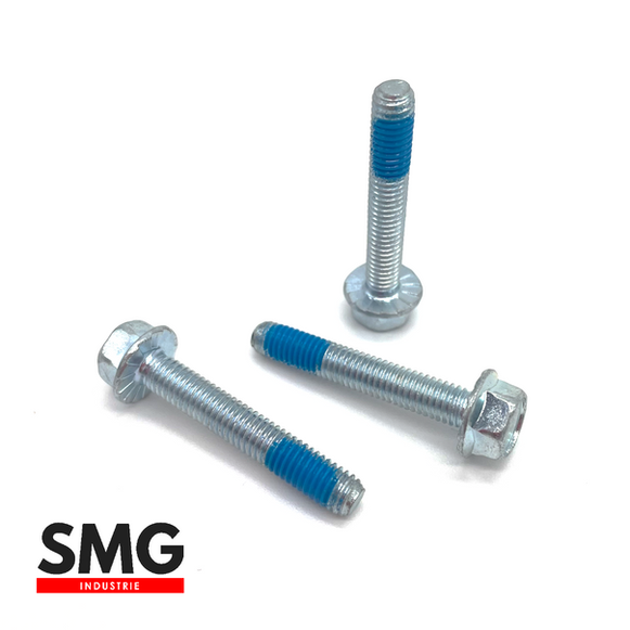 VIS TH A EMBASE M5X30 ACIER CL8.8 ZINGUE FREN FILET TUFLOK.png