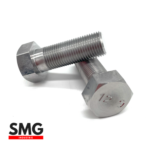 VIS TH ACIER CLASSE 12.9 BRUT - SMG INDUSTRIE.png