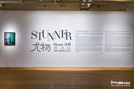 "lilyma: STUNNER", using painting as a medium to convey the creative idea of the beauty of humanity and nature