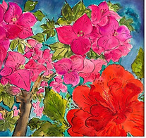 Hibiscus-工作室里盛开的三角梅和朱瑾51x36-2(背景).JPG