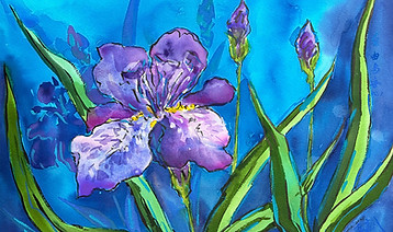 irises-紫色鸢尾41x31-28.JPG