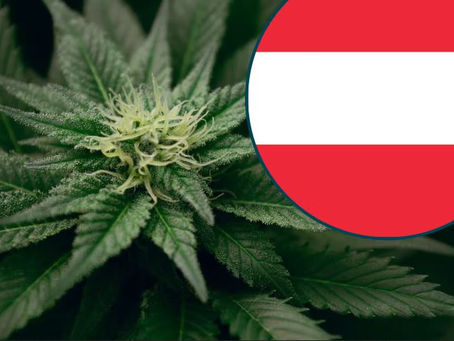 Kann man in Österreich legal Cannabis kaufen?