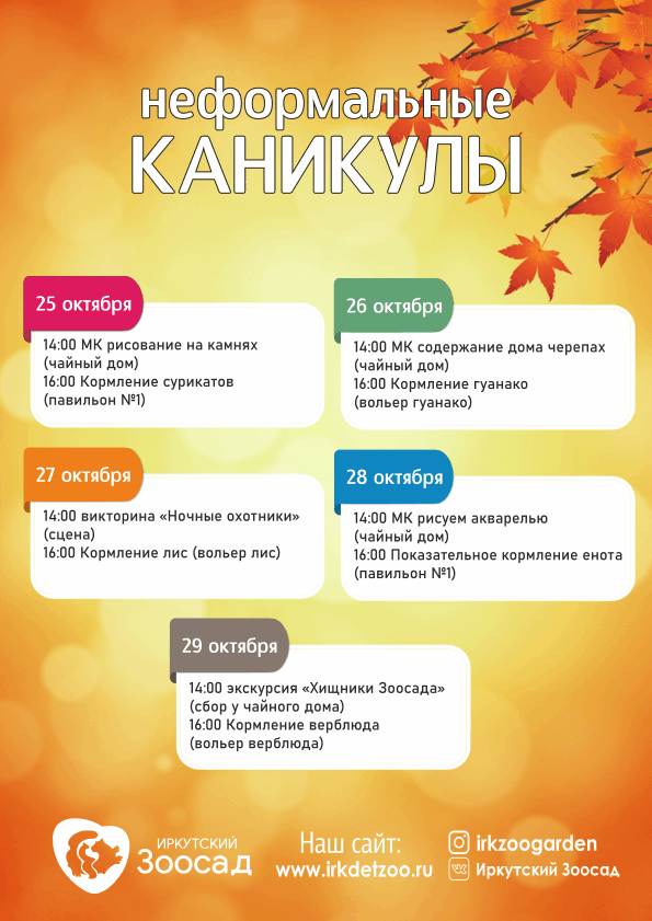 Неформальные каникулы Печать.gif