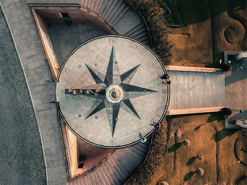luis-eusebio-GrY5z1DGWeU-unsplash_edited.png
