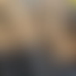 Storm Debris Removal in Parker County: Get Your Property Back to Pristine Condition