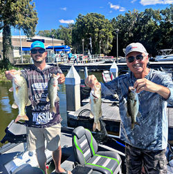 b5ad0ef5-0aa2-4eb5-8a4c-651b356d1553