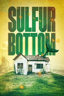 Poster Image.png