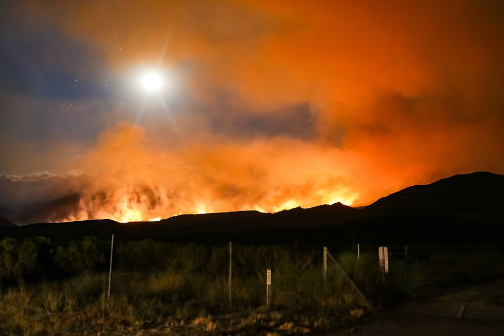 An image of wildfire