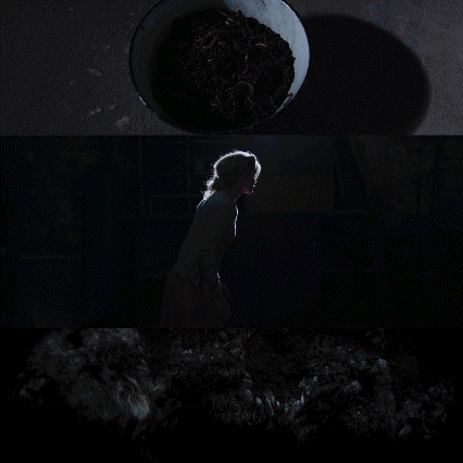 image00001.gif
