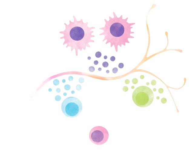 immune sistem fix 2_edited.png