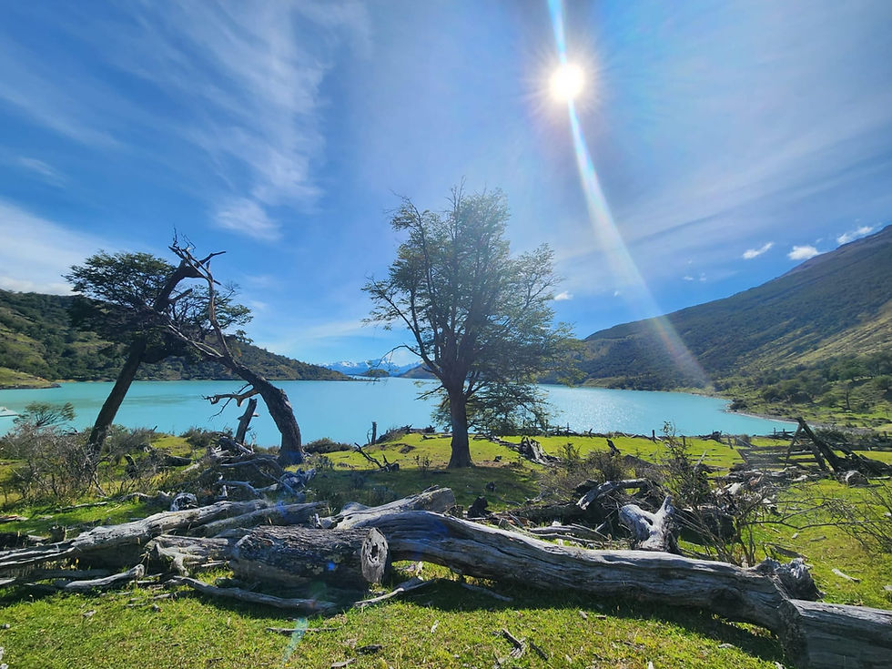 Travelers experiencing Jewish heritage tours in Argentina through cultural sites and Jewish communities