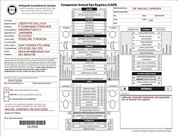 Résultat examen oculaire CAER Vizsla reproducteur certifié Élevage Canin Beaurivage Québec