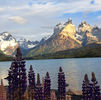 Jewish Heritage Tours in Argentina: A Complete Guide