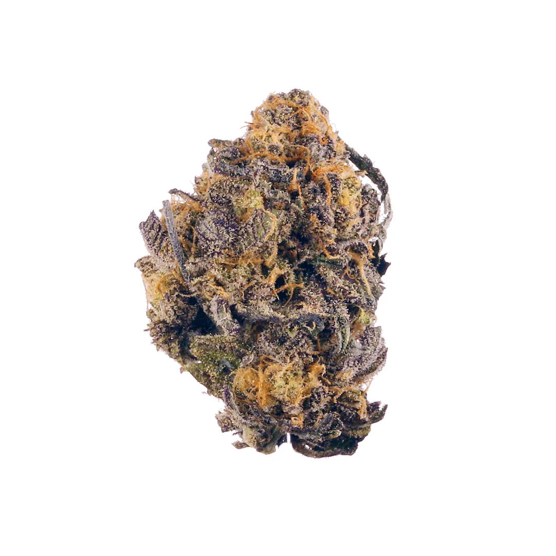 White Truffle