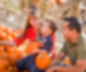 pumpkin fest website.png