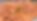 Pumpkin Fest  home page imaage.png