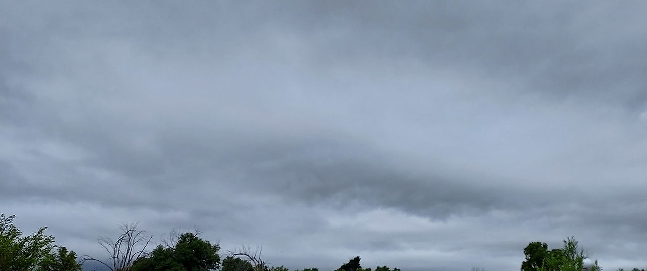 20230622_060918.jpg