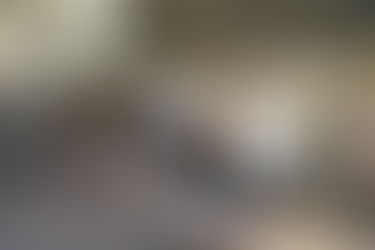 Cek Stok Sapi di NTB, Mentan SYL Pastikan Eartag sesuai SOP