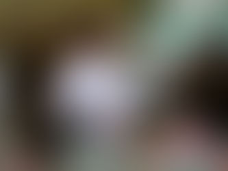 Mentan SYL Dorong Beras Lokal Dikembangkan Jadi Ikon Nasional