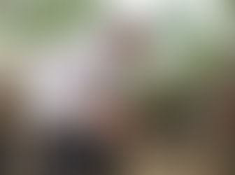 Momen Mentan SYL Panen Perdana Kelapa Sawit Program PSR di Sumsel