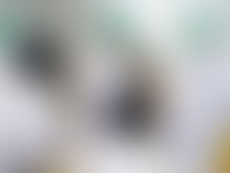 Mentan SYL Sebut Hilirisasi Bisa Tingkatkan Produksi Pangan Siap Ekspor