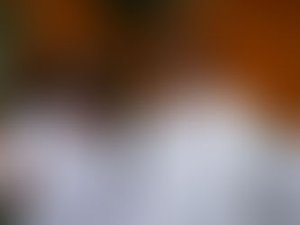 Panen Jagung di Food Estate Papua Melimpah, Jokowi Apresiasi Mentan SYL