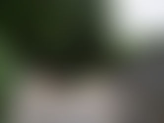 Mentan SYL: Dam Parit Naikkan Luas Lahan Pertanian di Brebes