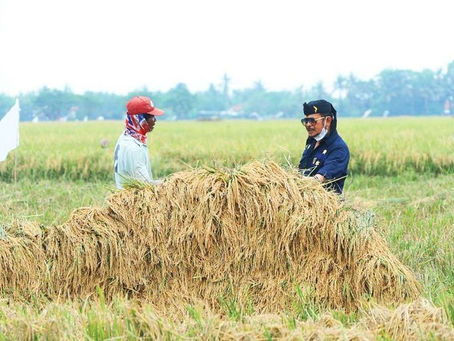 Mentan SYL Percepat Masa Tanam, Berharap November Bisa Panen