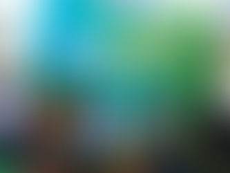 Mentan SYL Demonstrasikan Penggunaan Biosaka dan Pastikan Stok Beras Aman di Maros