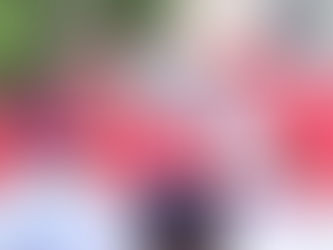 Kemerdekaan Tidak Bisa Hadir Tanpa Pertanian: Makna 17 Agustus di Mata SYL
