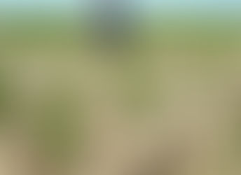 Mentan SYL Minta Daerah Punya Sense of Crisis Seperti Pusat