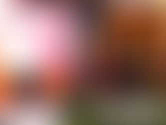 Mentan SYL Sebut Pemuda Pancasila Berpotensi Turunkan Inflasi