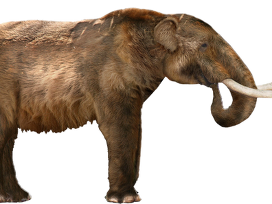 Mastodon