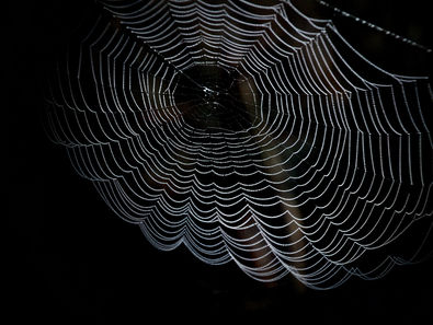 The Dark Sides of the Web